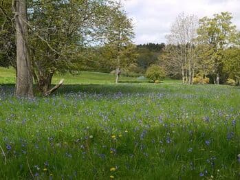 Walkmill Campsite photo 1