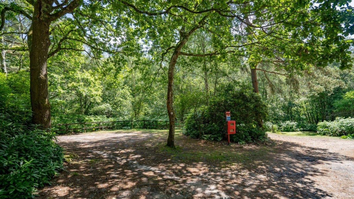 Graffham Camping and Caravanning Club Site photo 1