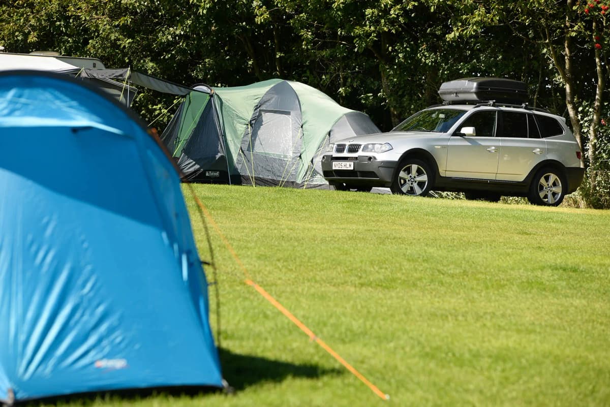 Waren Caravan and Camping Park photo 1
