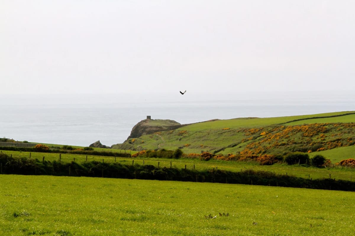 Coastal Stay photo 1