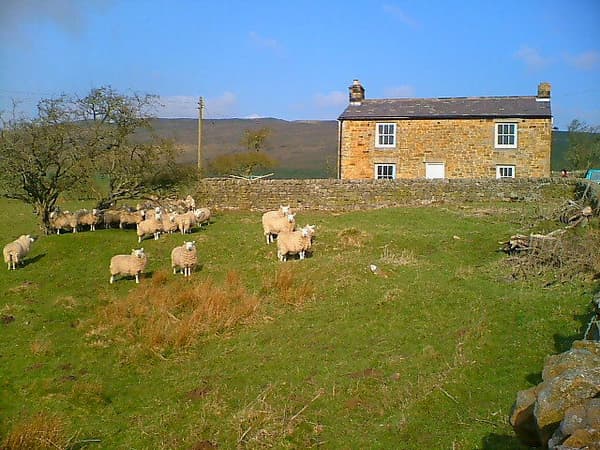 Fallowfield Dene Caravan and Camping Park photo 3