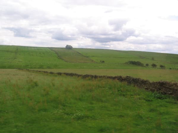 Fallowfield Dene Caravan and Camping Park photo 5