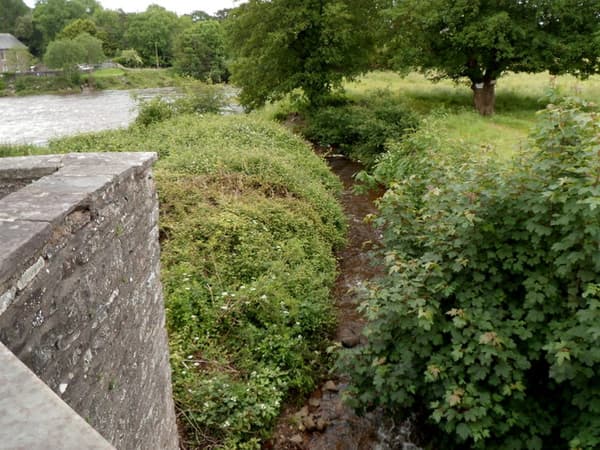 Riverside Caravan and Camping Park photo 4