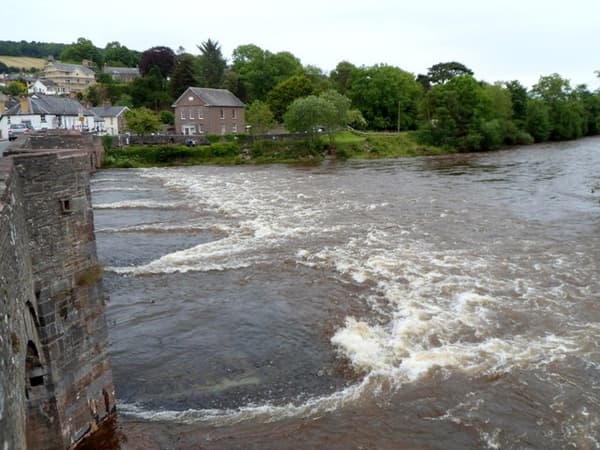 Riverside Caravan and Camping Park photo 2
