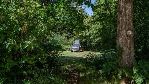 Graffham Camping and Caravanning Club Site photo 2