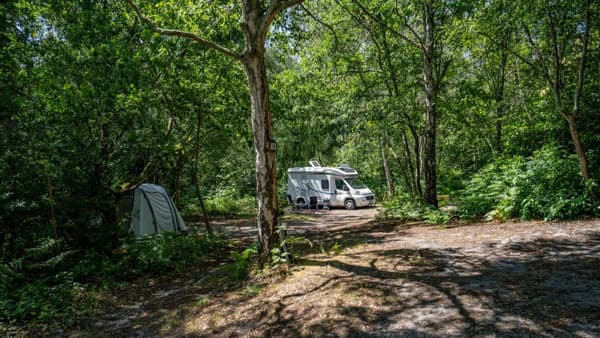 Graffham Camping and Caravanning Club Site photo 4