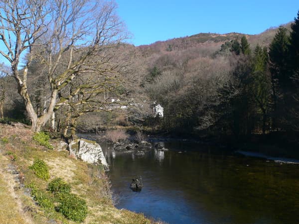 Cwmlanerch Campsite photo 5