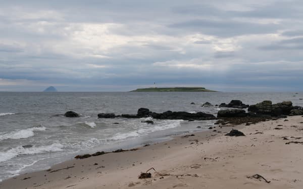 Seal Shore Camping and Touring Site campsite