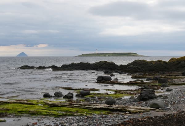 Seal Shore Camping and Touring Site photo 3