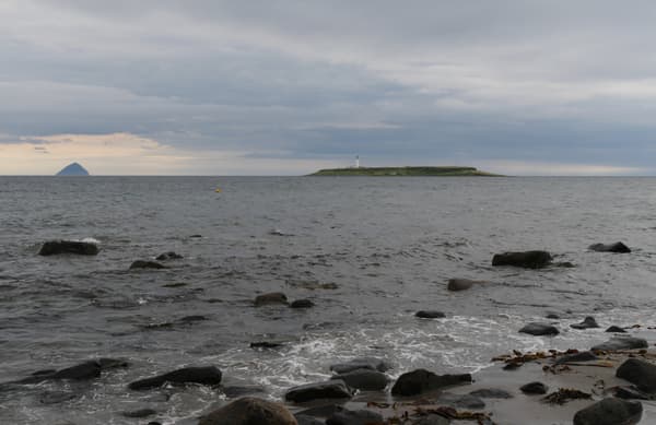 Seal Shore Camping and Touring Site photo 5