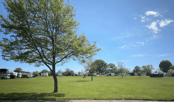 Honeybridge Park photo 4