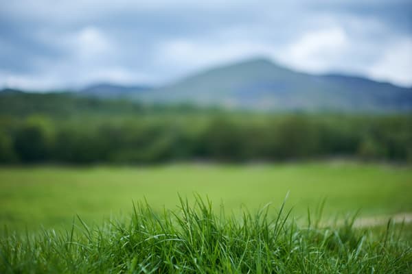 Coniston Camping Hoathwaite campsite