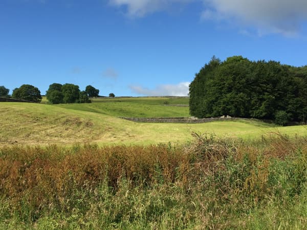 Wood Nook Caravan Park photo 2