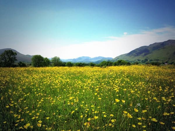 Gill Head Farm Caravan & Camping Park photo 4