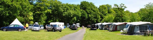 Dolgamedd Holiday Park photo 3