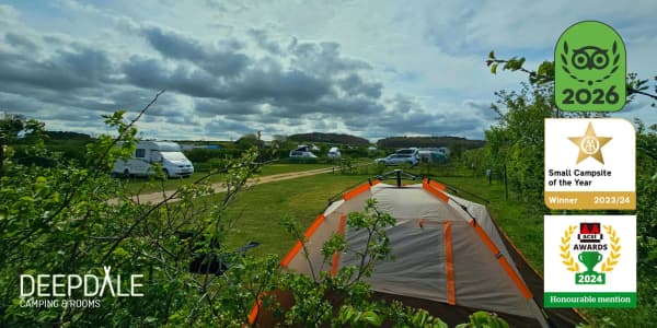 Deepdale Camping and Rooms photo 4