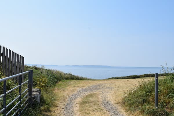 Porthclais Farm Campsite photo 3