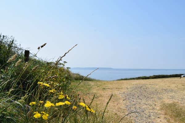 Porthclais Farm Campsite photo 4