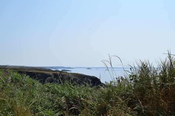 Porthclais Farm Campsite photo 2