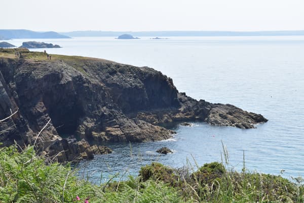 Porthclais Farm Campsite photo 5