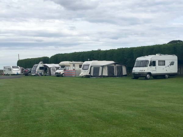 Proctors Stead Caravan Park photo 3
