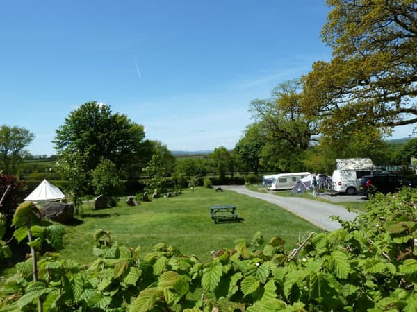 Langstone Manor Camping and Caravan Park campsite