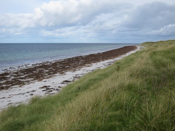 Kilbride Campsite photo 3