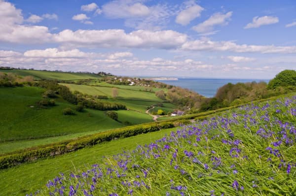 Ninham Country Holidays photo 4
