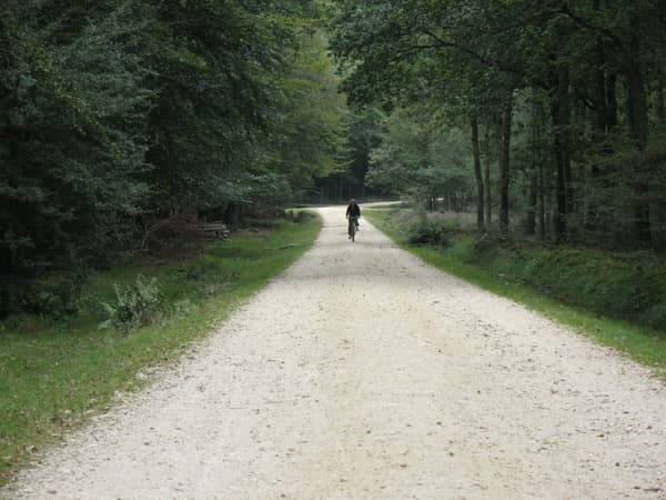 Ashurst Campsite photo 4