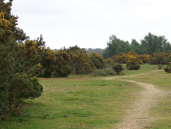 Ashurst Campsite photo 5