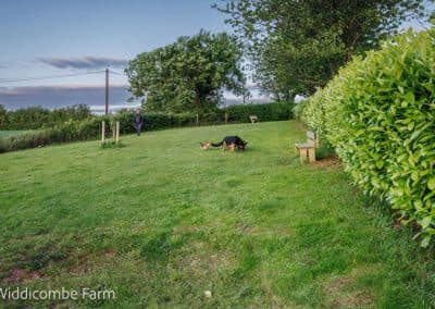 Widdicombe Farm Touring Park photo 4