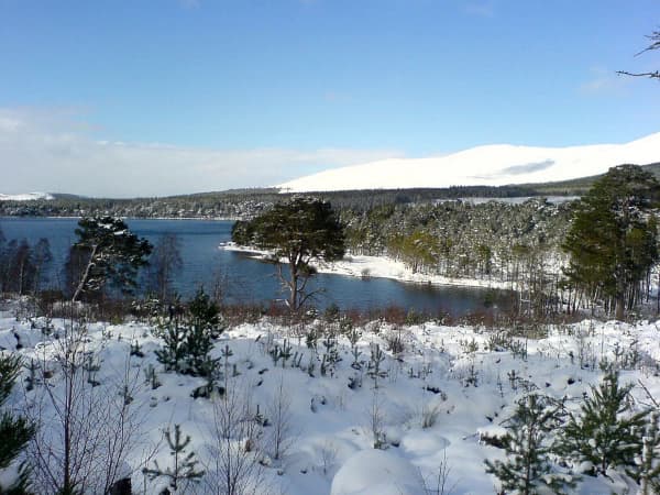 Glenmore Campsite photo 5