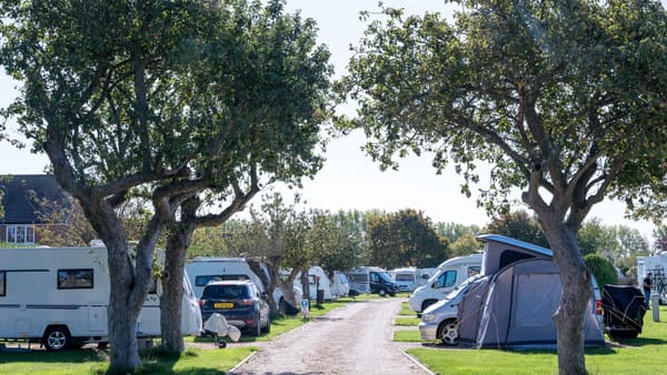 Chichester Camping and Caravanning Club Site photo 4