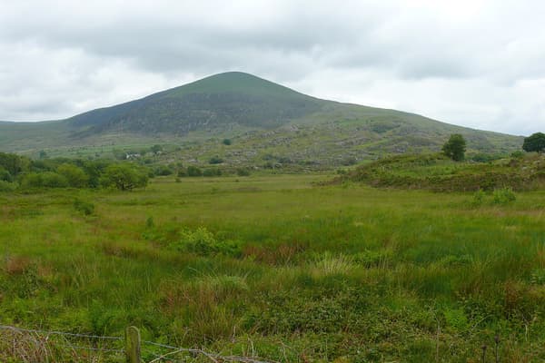 Nantcol Waterfalls Campsite photo 3