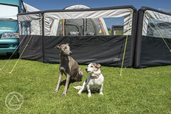 Tollgate Farm Caravan and Camping Park photo 3