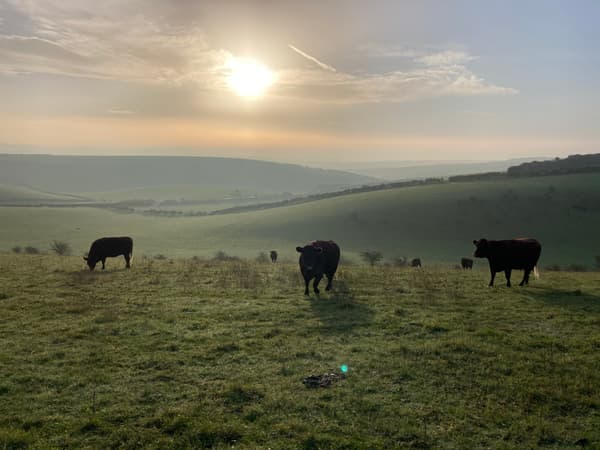 Saddlescombe Farm Campsite photo 4