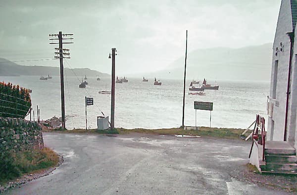 Broomfield Holiday Park photo 2