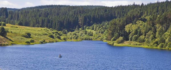 Kielder Campsite campsite